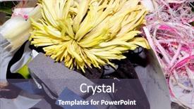  Presentation with garbage - Audience pleasing PPT layouts consisting of food garbage texture and objects backdrop and a violet colored foreground