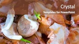  Presentation with food waste fresh in garbage - Theme consisting of food garbage texture and objects background and a  colored foreground