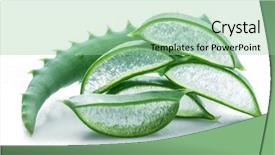  Presentation with aloe vera - Beautiful theme featuring food gels - aloe or aloe vera fresh backdrop and a seafoam green colored foreground