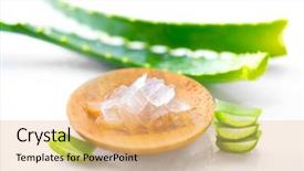  Presentation with gel medicine - PPT layouts consisting of food gels - aloe vera gel closeup sliced background and a coral colored foreground
