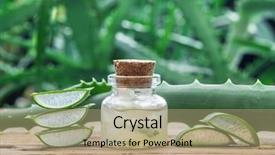  Presentation with cosmetic - PPT theme featuring food gels - fresh aloe leaves and aloe background and a  colored foreground
