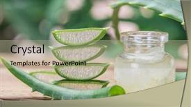  Presentation with leaves - Theme enhanced with food gels - fresh aloe leaves and aloe background and a mint green colored foreground