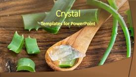  Presentation with leaves - Amazing theme having food gels - fresh aloe leaves and aloe backdrop and a tawny brown colored foreground