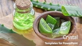  Presentation with leaves - Colorful PPT theme enhanced with food gels - fresh aloe leaves and aloe backdrop and a coral colored foreground