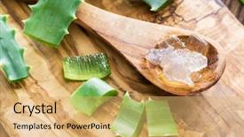  Presentation with leaves - Slide set consisting of food gels - fresh aloe leaves and aloe background and a  colored foreground