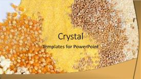  Presentation with cereal grains - Cool new presentation theme with food grains cultivation - colorful cereal seeds background backdrop and a yellow colored foreground