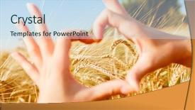  Presentation with food grains - Audience pleasing PPT layouts consisting of food grains cultivation - picture of heart from palms backdrop and a sky blue colored foreground
