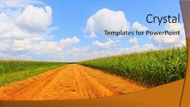  Presentation with grain corn - Amazing theme having food grains cultivation - stubble field after cutting grain backdrop and a light blue colored foreground