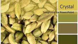  Presentation with cardamom - Audience pleasing presentation design consisting of food groups chart - background of green cardamom pods backdrop and a yellow colored foreground