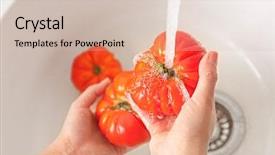  Presentation with hygiene - Slide set having food hygiene - female hands washing tomatoes background and a soft green colored foreground