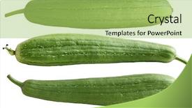  Presentation with food white - Presentation theme enhanced with food hygiene - set of three sponge gourd background and a mint green colored foreground