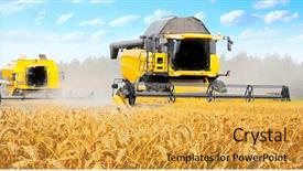  Presentation with wheat - Amazing presentation theme having combine harvesting wheat backdrop and a yellow colored foreground