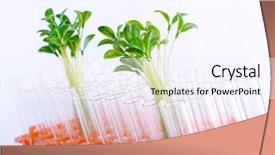  Presentation with innovation lab - Colorful presentation design enhanced with food innovation - lab experiment with green seedlings backdrop and a sky blue colored foreground