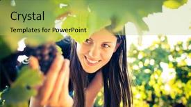  Presentation with food inspection - Colorful slide deck enhanced with food inspection - grapes in a vineyard being backdrop and a yellow colored foreground