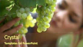  Presentation with food inspection - Cool new PPT theme with food inspection - grapes in a vineyard being backdrop and a tawny brown colored foreground