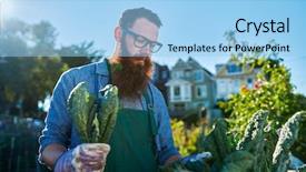  Presentation with plants - PPT layouts having food inspection - inspecting kale plants inside background and a light blue colored foreground