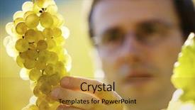  Presentation with wine green - Slides having food inspection - male winemaker inspecting quality background and a gold colored foreground