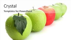  Presentation with green apple - Slide set featuring food line - ripe green apples and one background and a white colored foreground