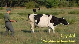  Presentation with want ad - PPT layouts with food military - german soldier want to kill background and a  colored foreground