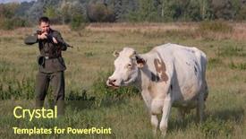  Presentation with drugs kill - Slide deck featuring food military - german soldier want to kill background and a  colored foreground