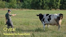  Presentation with cow - Amazing slide deck having food military - german soldier want to kill backdrop and a  colored foreground