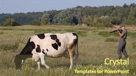  Presentation with we want you - Beautiful PPT layouts featuring food military - german soldier want to kill backdrop and a  colored foreground