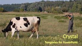  Presentation with want ad - Amazing PPT theme having food military - german soldier want to kill backdrop and a  colored foreground