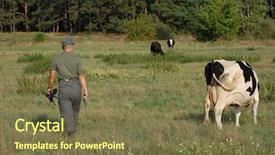  Presentation with want ad - Slides consisting of food military - german soldier want to kill background and a  colored foreground