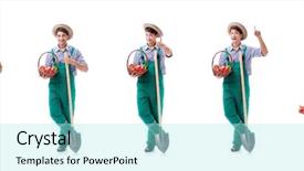  Presentation with chicken poultry farm white layer - PPT theme with food montage - young farmer isolated background and a arctic colored foreground