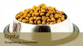  Presentation with dog food - Cool new PPT layouts with food of dog backdrop and a gold colored foreground