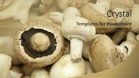  Presentation with food poisoning - Cool new presentation with food poisoning - mixed organic mushrooms backdrop and a coral colored foreground