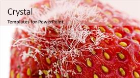  Presentation with food poisoning - Cool new presentation with food poisoning - mold strawberry backdrop and a coral colored foreground