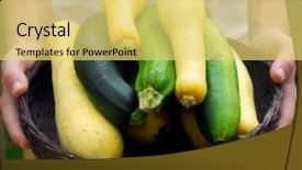  Presentation with squash sport - Presentation featuring food presentasion - basket of fresh picked zucchini background and a yellow colored foreground