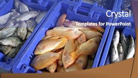  Presentation with spices export - Presentation theme enhanced with food preservation - boxes of different spices background and a  colored foreground