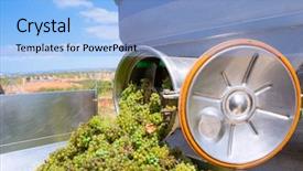  Presentation with food processing - PPT theme featuring food processing - chardonnay corkscrew crusher destemmer background and a light blue colored foreground