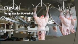  Presentation with meat production - Beautiful PPT theme featuring food production - continuous conveyor of meat backdrop and a dark gray colored foreground