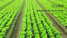  Presentation with field of dreams - PPT theme having healthy fitness girl drinking green background and a soft green colored foreground