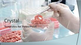  Presentation with food laboratory - Presentation theme featuring food quality control expert inspecting background and a soft green colored foreground