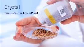  Presentation with chemical control - Slide deck having food-quality-inspection-laboratory-checking background and a sky blue colored foreground