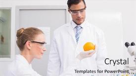  Presentation with animal testing scientist doing experiment - Slide deck enhanced with food research - scientists doing experimentations on orange background and a sky blue colored foreground