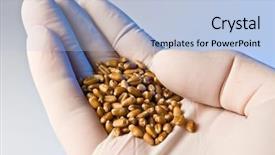  Presentation with food science - Amazing PPT theme having food science - agriculture research - hand backdrop and a light blue colored foreground