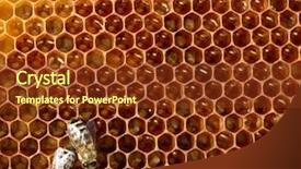  Presentation with food science - Colorful theme enhanced with food science - bees on honeycomb backdrop and a tawny brown colored foreground