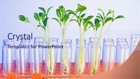  Presentation with food science - Theme consisting of food science - lab experiment with green seedlings background and a sky blue colored foreground