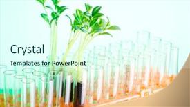  Presentation with food science - PPT theme consisting of food science - lab experiment with green seedlings background and a  colored foreground