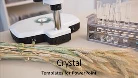  Presentation with food laboratory - Presentation theme consisting of food science - microscope with tubes and sheaf background and a coral colored foreground