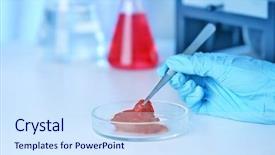  Presentation with food laboratory - Slide deck enhanced with food science - scientist inspecting meat sample background and a sky blue colored foreground