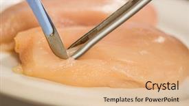  Presentation with food safety - Slides having food scientist dissecting raw chicken background and a lemonade colored foreground
