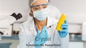  Presentation with corn cob - Presentation design consisting of food-scientist-injecting-a-corn background and a light blue colored foreground