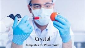  Presentation with university - Amazing presentation theme having food scientist injecting a tomato at the university backdrop and a light blue colored foreground