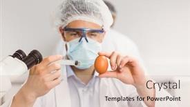  Presentation with university - Amazing PPT theme having food-scientist-injecting-an-egg backdrop and a  colored foreground